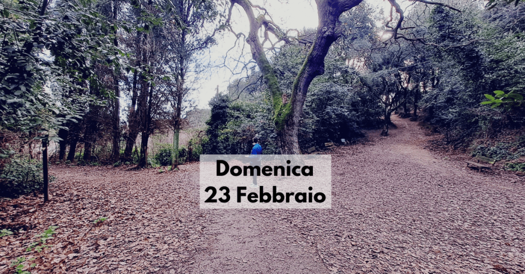 Roma dal punto più alto! Da Monte Ciocci a Monte&nbsp;Mario