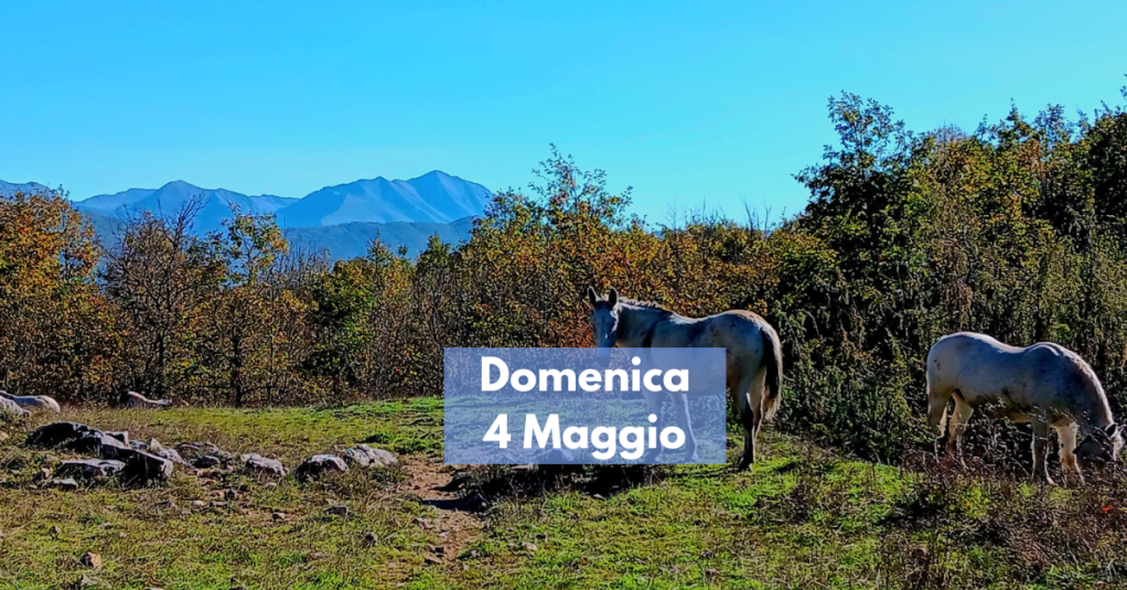 Nespolo: lungo i cippi di confine. Trekking e&nbsp;Birra!