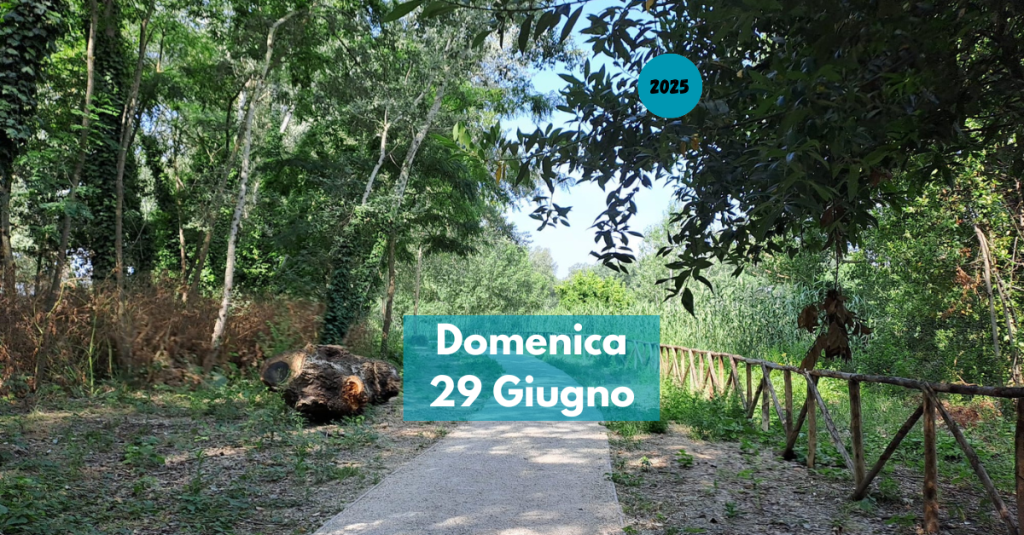 Camminata urbana con vista sul&nbsp;Tevere!