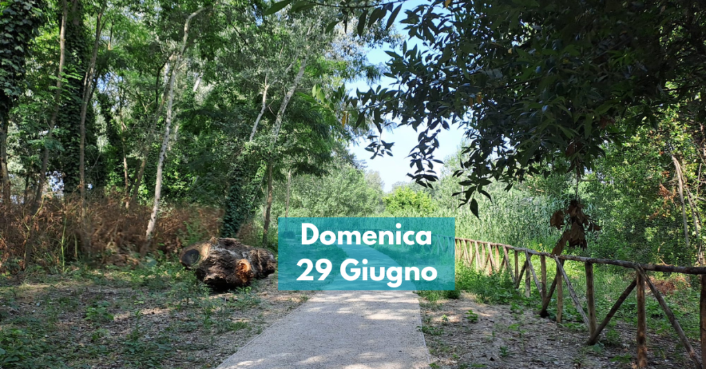 Camminata urbana con vista sul&nbsp;Tevere!